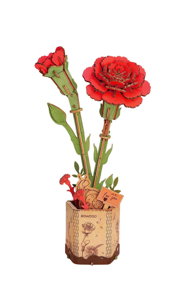 Robotime Red Carnation / Œillets Rouge TW052